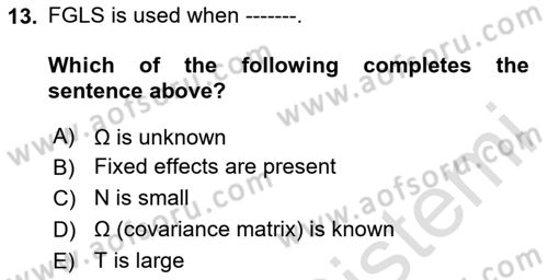 Econometrics 2 Dersi 2024 - 2025 Yılı (Final) Dönem Sonu Sınav Soruları 13. Soru