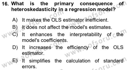 Econometrics 2 Dersi 2024 - 2025 Yılı (Final) Dönem Sonu Sınav Soruları 16. Soru