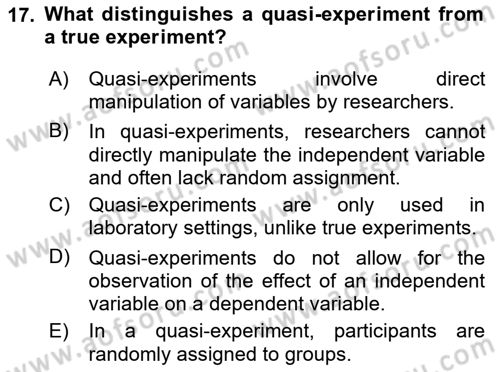 Econometrics 2 Dersi 2024 - 2025 Yılı (Final) Dönem Sonu Sınav Soruları 17. Soru