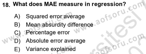 Econometrics 2 Dersi 2024 - 2025 Yılı (Final) Dönem Sonu Sınav Soruları 18. Soru