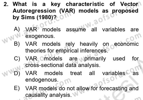 Econometrics 2 Dersi 2024 - 2025 Yılı (Final) Dönem Sonu Sınav Soruları 2. Soru