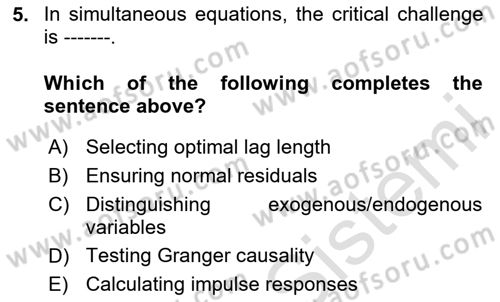 Econometrics 2 Dersi 2024 - 2025 Yılı (Final) Dönem Sonu Sınav Soruları 5. Soru