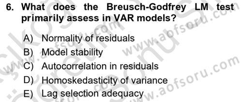 Econometrics 2 Dersi 2024 - 2025 Yılı (Final) Dönem Sonu Sınav Soruları 6. Soru
