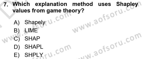 Econometrics 2 Dersi 2024 - 2025 Yılı (Final) Dönem Sonu Sınav Soruları 7. Soru