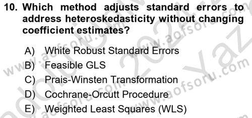 Econometrics 2 Dersi 2024 - 2025 Yılı Yaz Okulu Sınav Soruları 10. Soru