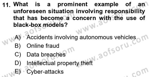 Econometrics 2 Dersi 2024 - 2025 Yılı Yaz Okulu Sınav Soruları 11. Soru