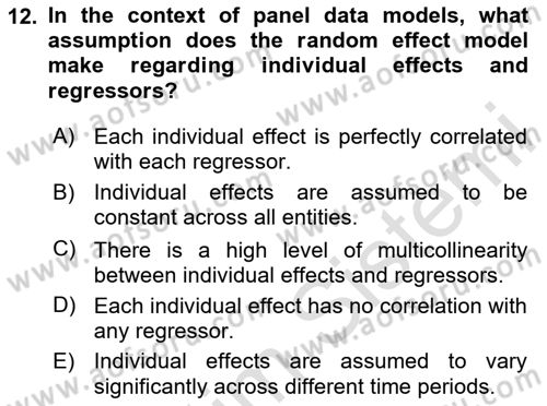 Econometrics 2 Dersi 2024 - 2025 Yılı Yaz Okulu Sınav Soruları 12. Soru