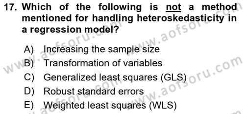 Econometrics 2 Dersi 2024 - 2025 Yılı Yaz Okulu Sınav Soruları 17. Soru