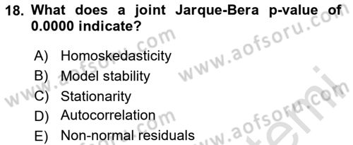 Econometrics 2 Dersi 2024 - 2025 Yılı Yaz Okulu Sınav Soruları 18. Soru