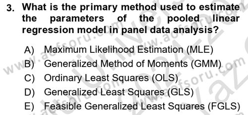 Econometrics 2 Dersi 2024 - 2025 Yılı Yaz Okulu Sınav Soruları 3. Soru