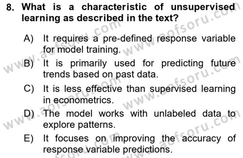Econometrics 2 Dersi 2024 - 2025 Yılı Yaz Okulu Sınav Soruları 8. Soru