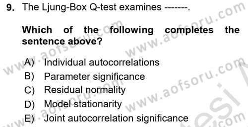 Econometrics 2 Dersi 2024 - 2025 Yılı Yaz Okulu Sınav Soruları 9. Soru
