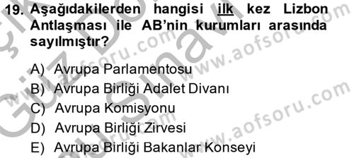 Avrupa Birliği Dersi 2014 - 2015 Yılı (Final) Dönem Sonu Sınavı 19. Soru