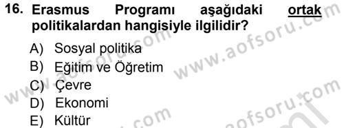 Avrupa Birliği Dersi 2014 - 2015 Yılı Tek Ders Sınavı 16. Soru