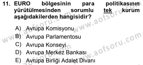 Avrupa Birliği Dersi 2015 - 2016 Yılı (Vize) Ara Sınavı 11. Soru