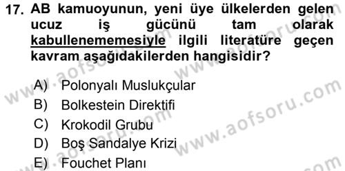 Avrupa Birliği Dersi 2015 - 2016 Yılı Tek Ders Sınavı 17. Soru