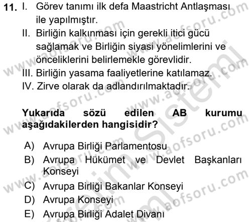 Avrupa Birliği Dersi 2016 - 2017 Yılı (Vize) Ara Sınavı 11. Soru