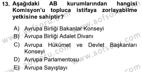 Avrupa Birliği Dersi 2016 - 2017 Yılı (Vize) Ara Sınavı 13. Soru