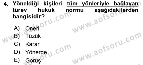 Avrupa Birliği Dersi 2016 - 2017 Yılı (Vize) Ara Sınavı 4. Soru