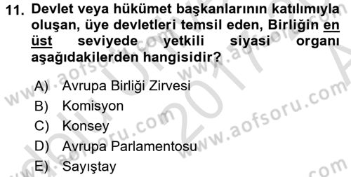 Avrupa Birliği Dersi 2017 - 2018 Yılı (Vize) Ara Sınavı 11. Soru