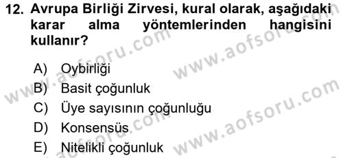 Avrupa Birliği Dersi 2017 - 2018 Yılı (Vize) Ara Sınavı 12. Soru