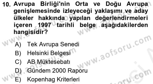 Avrupa Birliği Dersi 2018 - 2019 Yılı (Vize) Ara Sınavı 10. Soru