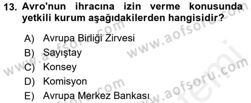 Avrupa Birliği Dersi 2018 - 2019 Yılı (Vize) Ara Sınavı 13. Soru