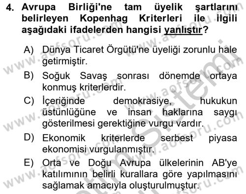 Avrupa Birliği Dersi 2018 - 2019 Yılı Yaz Okulu Sınavı 4. Soru