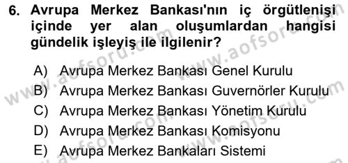 Avrupa Birliği Dersi 2018 - 2019 Yılı Yaz Okulu Sınavı 6. Soru