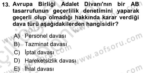 Avrupa Birliği Dersi 2019 - 2020 Yılı (Vize) Ara Sınavı 13. Soru