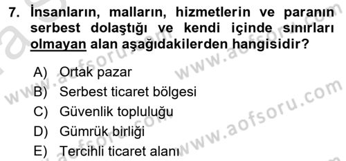 Avrupa Birliği Dersi 2019 - 2020 Yılı (Vize) Ara Sınavı 7. Soru