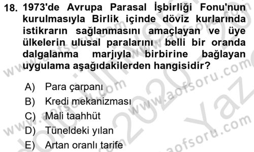 Avrupa Birliği Dersi 2020 - 2021 Yılı Yaz Okulu Sınavı 18. Soru