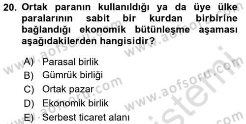 Avrupa Birliği Dersi 2020 - 2021 Yılı Yaz Okulu Sınavı 20. Soru