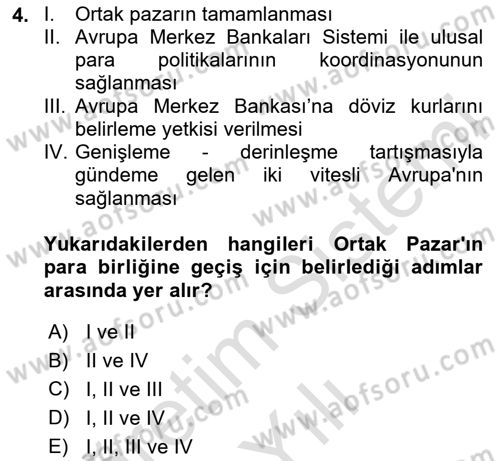 Avrupa Birliği Dersi 2020 - 2021 Yılı Yaz Okulu Sınavı 4. Soru