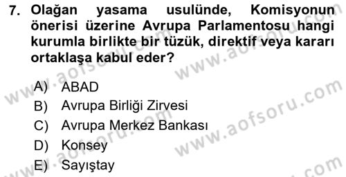 Avrupa Birliği Dersi 2020 - 2021 Yılı Yaz Okulu Sınavı 7. Soru