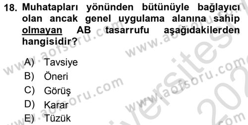 Avrupa Birliği Dersi 2021 - 2022 Yılı (Vize) Ara Sınavı 18. Soru