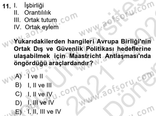 Avrupa Birliği Dersi 2021 - 2022 Yılı (Final) Dönem Sonu Sınavı 11. Soru