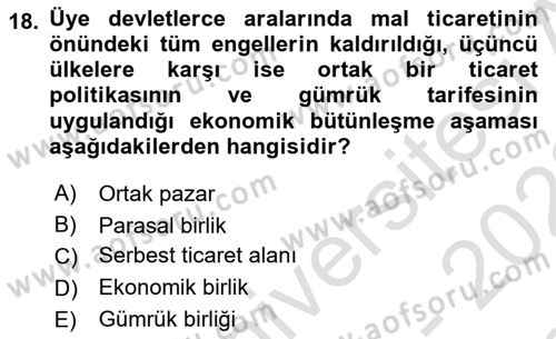 Avrupa Birliği Dersi 2021 - 2022 Yılı (Final) Dönem Sonu Sınavı 18. Soru