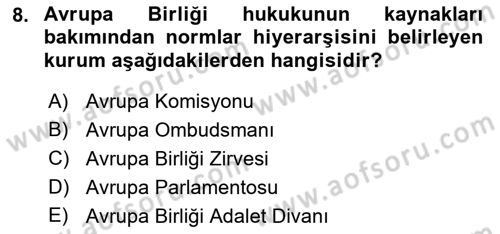 Avrupa Birliği Dersi 2021 - 2022 Yılı (Final) Dönem Sonu Sınavı 8. Soru