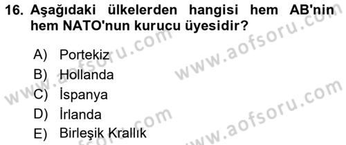 Avrupa Birliği Dersi 2021 - 2022 Yılı Yaz Okulu Sınavı 16. Soru