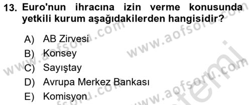 Avrupa Birliği Dersi 2022 - 2023 Yılı (Vize) Ara Sınavı 13. Soru