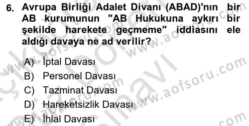 Avrupa Birliği Dersi 2022 - 2023 Yılı (Final) Dönem Sonu Sınavı 6. Soru