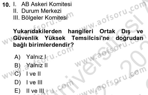 Avrupa Birliği Dersi 2022 - 2023 Yılı Yaz Okulu Sınav Soruları 10. Soru