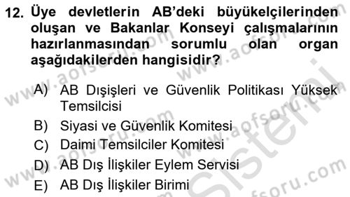 Avrupa Birliği Dersi 2022 - 2023 Yılı Yaz Okulu Sınav Soruları 12. Soru