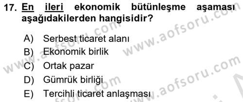 Avrupa Birliği Dersi 2022 - 2023 Yılı Yaz Okulu Sınav Soruları 17. Soru