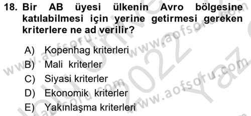 Avrupa Birliği Dersi 2022 - 2023 Yılı Yaz Okulu Sınav Soruları 18. Soru