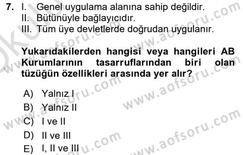 Avrupa Birliği Dersi 2022 - 2023 Yılı Yaz Okulu Sınav Soruları 7. Soru