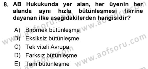 Avrupa Birliği Dersi 2022 - 2023 Yılı Yaz Okulu Sınav Soruları 8. Soru