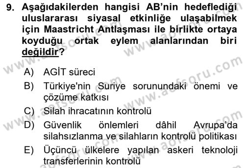 Avrupa Birliği Dersi 2022 - 2023 Yılı Yaz Okulu Sınav Soruları 9. Soru