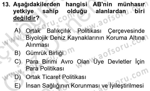 Avrupa Birliği Dersi Ara Sınavı Deneme Sınav Soruları 13. Soru